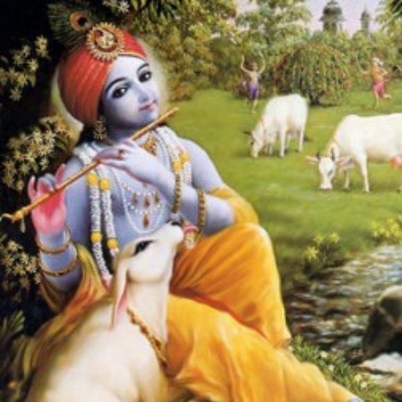 Meet Gypsy Caravan! - Picture 7 of 8